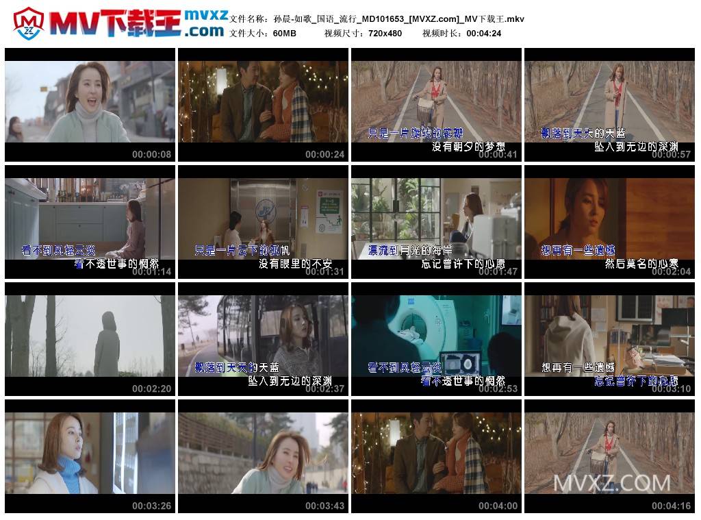 孙晨-如歌_国语_流行_MD101653
